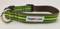 Green & Brown Stripes - 1" Collar
