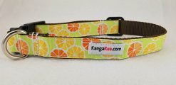 Orange Slices on Green - 1" Collar - Large