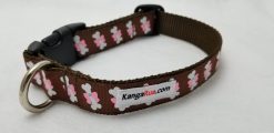 White Bones on Brown - 1" Collar
