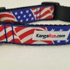 American Flag - 1" Collar