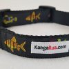 Fishies on Black - 1" Collar - Medium