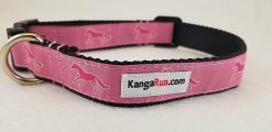 Horses on Pink - 1" Collar - Large
