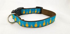 Pineapples on Blue - 1" Collar