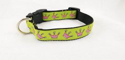 Pink Crowns on Lime Green - 1" Collar