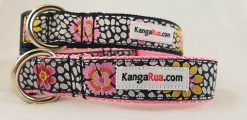 Pink Guinea Flowers on Black - 1" Collar