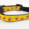 Watermelon Slices on Yellow - 1" Collar