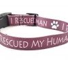 I Rescued My Human on Burgandy - 1" Collar