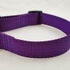 Purple Webbing Collar - 1" Collar