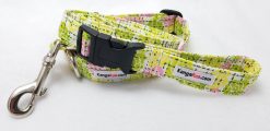 Spring Flowers Set - 1" Medium Collar, 5' Leash with Buckle