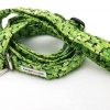 Lucky 4-Leaf Clover Set - 1" Medium Collar, 5' Leash