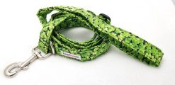 Lucky 4-Leaf Clover Set - 1" Medium Collar, 5' Leash