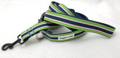 Green, Pink & Blue Stripes Set - 1" Small Collar, 5' Leash