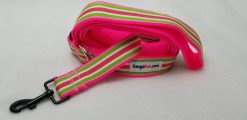 Green & Pink Stripes Set - 1" Small Collar, 5' Leash