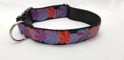 Beach Balls on Black - 1.5" Collar