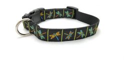 Dragonfly on Black - 1" Collar